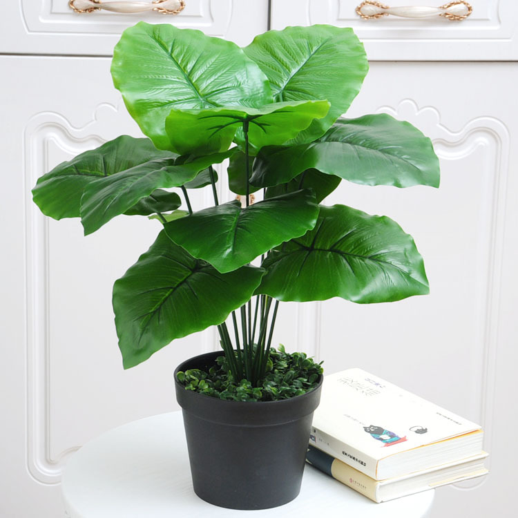 12-tenedor goteo Guanyin (lavabo negro con espuma)