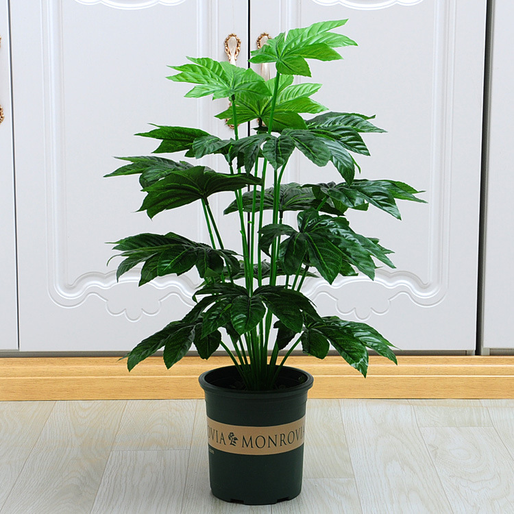 18-tenedor placa de oro octogonal (alta cuenca verde con espuma)