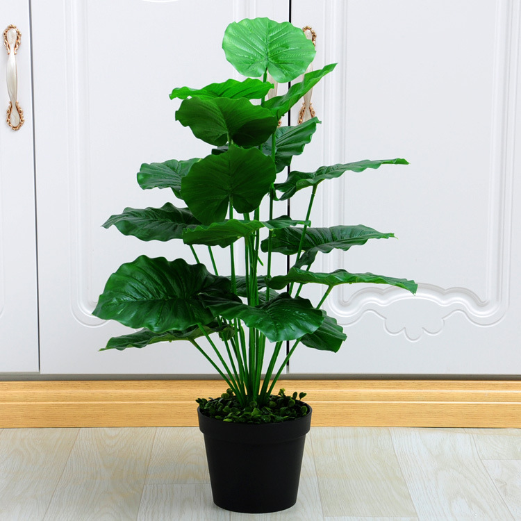 18-tenedor goteo Guanyin (Cuenca negro con espuma)