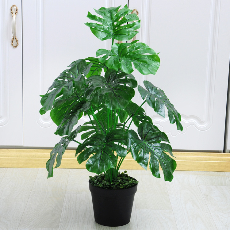 18 tortuga Tenedor de vuelta (Cuenca negro con espuma)