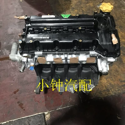 Engine assembly Zhongtai T600 mg Santa