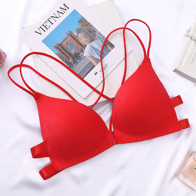 공작 꽃 새해 레드