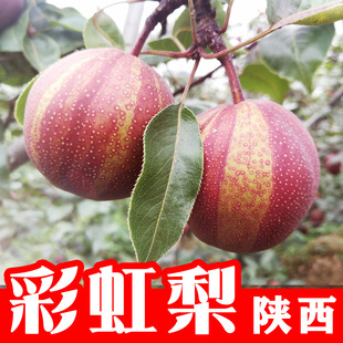 ������ʺ��桻ϡ���ʺ������r����t�殔��ˮ������Fժ�F�l