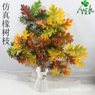 ��������~ �^�z��ɫ�~�� ���ϟᎧ��֦ ���t�V�ݘ�֦���ښW��