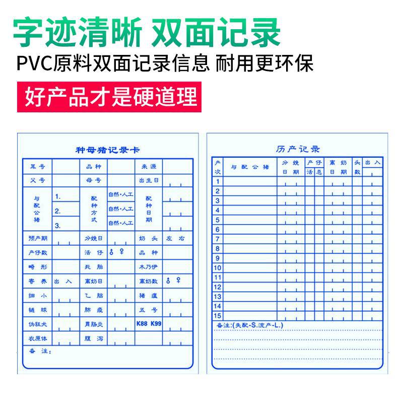 Doble cara no desvanecimiento Cerda Tarjeta de archivo de tarjeta de archivo de 1mm engrosada Cerda embarazo Tarjeta de archivo