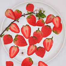 草莓标本批发 DIY手工切片水果压花滴胶手机壳相框饰品蜡烛材料包