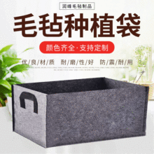 �L����ë�ַNֲ�� �߲˲�ݮ�����o�����NֲͰ ��ͥ�ֲ̨��������