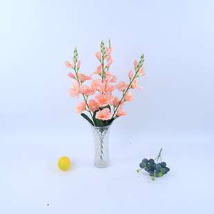 ��愦�m��c���컨�zӰ���߽�������[�O������滨�Ҿ��b��