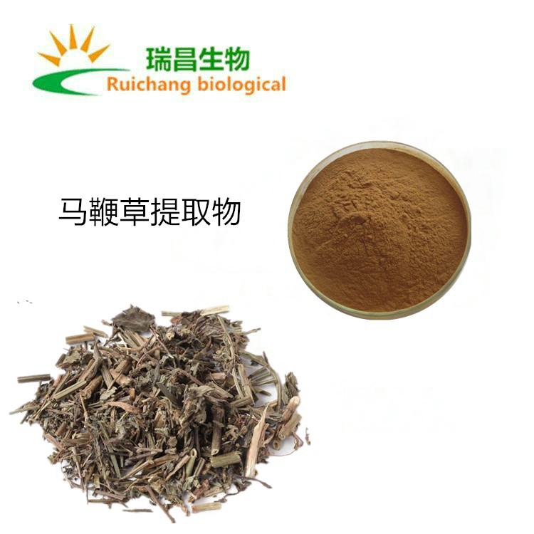马鞭草提取物 10:1 马鞭草粉 马鞭草萃取粉 马鞭草浸膏粉现货直销