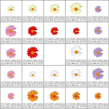 羳SֱNɫСrϵ·aNpatch٠CճN