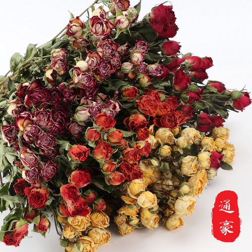 Rose dried flower bouquet multi-head bubble rose rose dried bouquet glue diy photography decorative flower materials wholesale