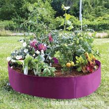 ����Nֲ��ë�ַNֲͰ�҃���Nֲ�A�Οo�������@�ˈ@����������