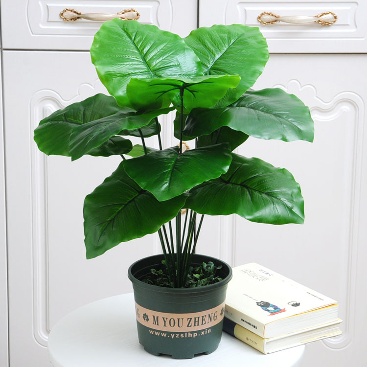 12-tenedor goteo Guanyin (Cuenca Verde corta con espuma)