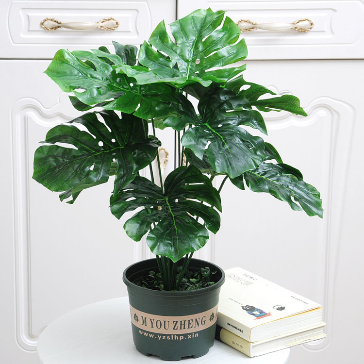 Tortuga 12-Tenedor de nuevo (Cuenca Verde corto con espuma)