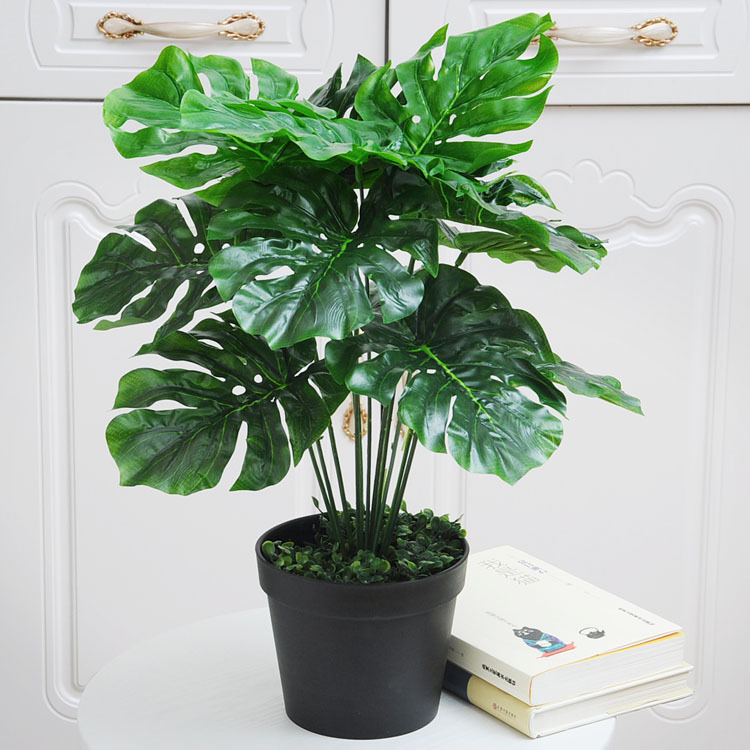 12 tortuga tenedor espalda (Cuenca negro con espuma)