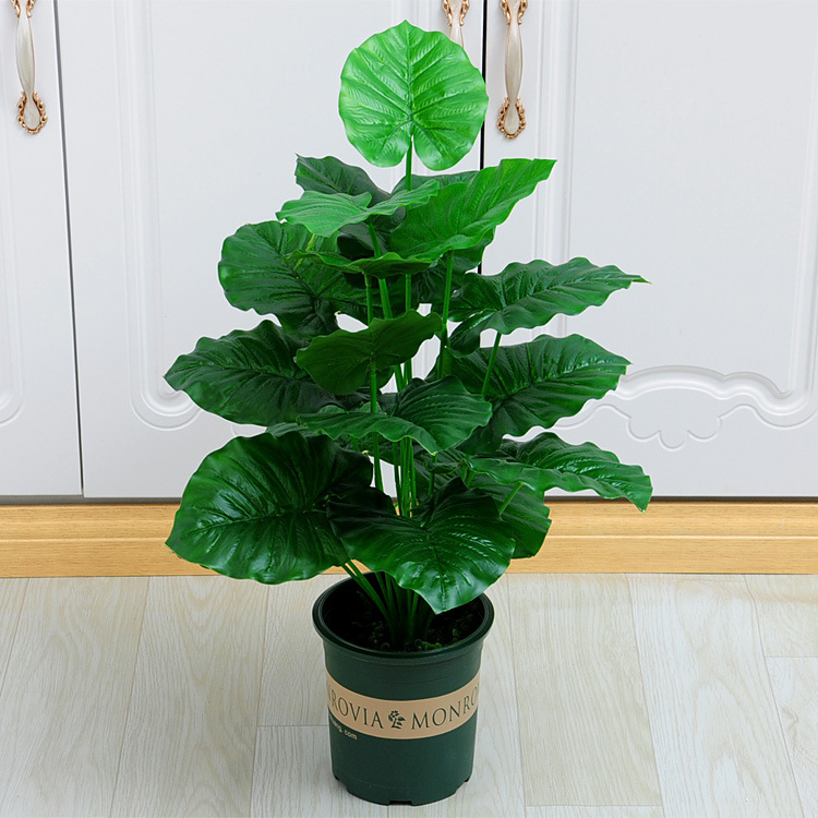 18 tenedor goteo Guanyin (Cuenca Verde alta con espuma)