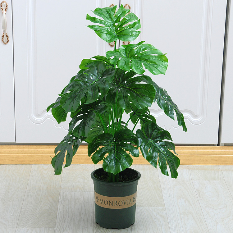 18 tortuga tenedor espalda (alta cuenca verde con espuma)