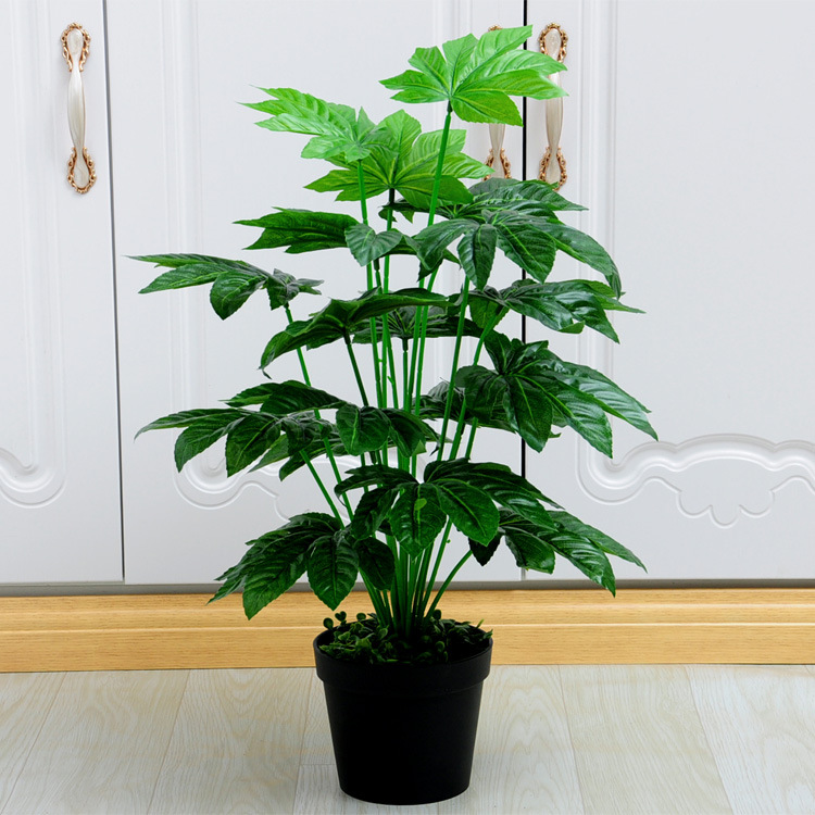 Placa de oro octogonal 18-Tenedor (lavabo negro con espuma)