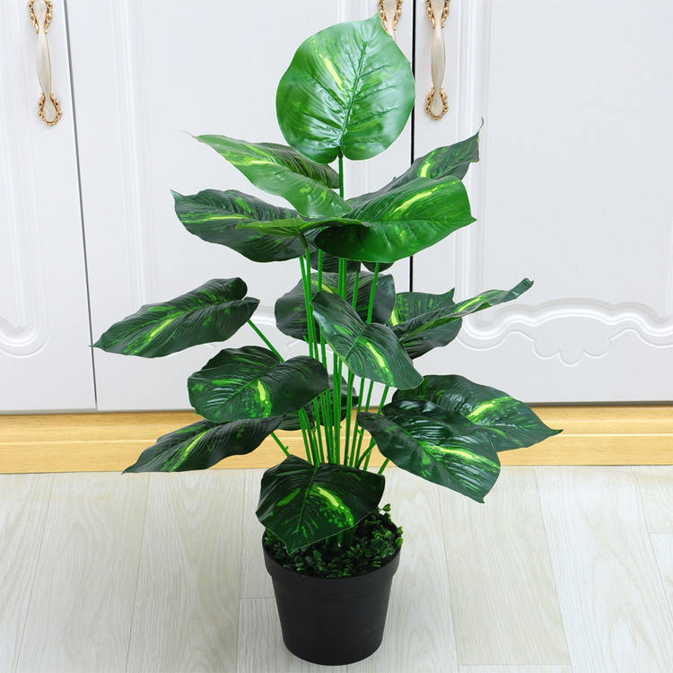 18 Tenedor de hoja perenne (Cuenca negro con espuma)