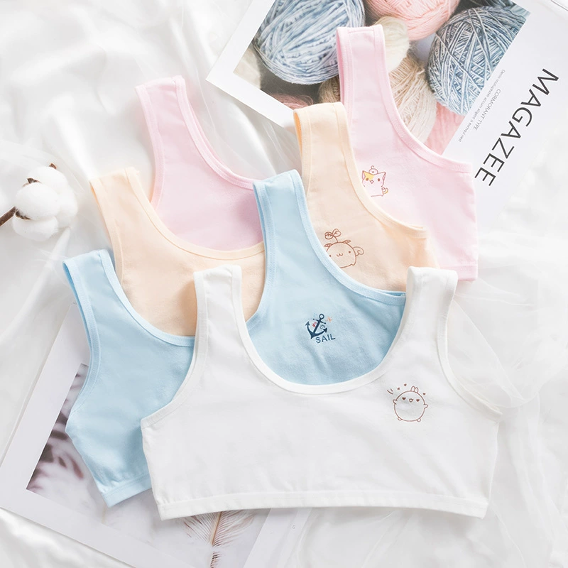 Жилет для девочек, милый удобный период развития, бюстгальтер для девочек, учащиеся младших классов средней школы, дышащие производители студенческого нижнего белья с защитой от ударов