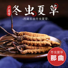 批发冬虫夏草 西藏那曲虫草 溯源地头期干草自选礼盒