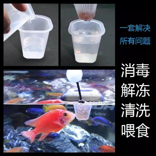 Fish tank frozen red worm cup feeder blood nematode cup funnel brine shrimp feeding dissolving feeding ring fish feeding artifact