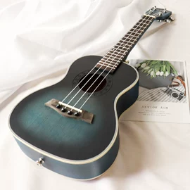 乐器配件;弹拨类乐器;打击类乐器