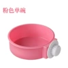 Fuchsia, small