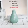 Small fresh bottle detergent flower-shaped, modern and minimalistic plant lamp