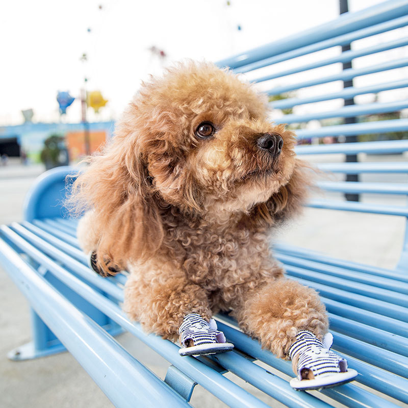 Sandalias de perro de lona a rayas Teddy Bomei oso perro pequeño mascota antideslizante transpirable zapatos de suela suave primavera y verano
