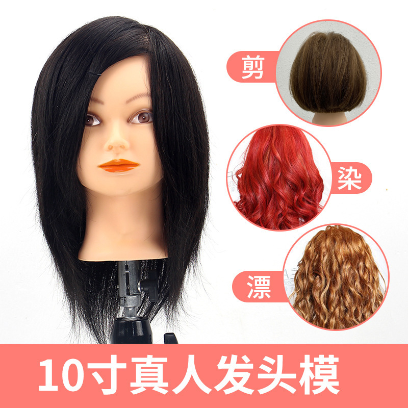 10 inch full real hair model can be permed hair model head real hair doll head apprentice haircut dummy head model 10 inch full real hair model can be permed hair model head real hair doll head apprentice haircut dummy head model