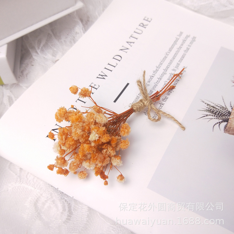 Mini ramo de flores secas, caja de regalo de rosas, decoración de tarjetas, material DIY, accesorios de fotografía, regalos de flores