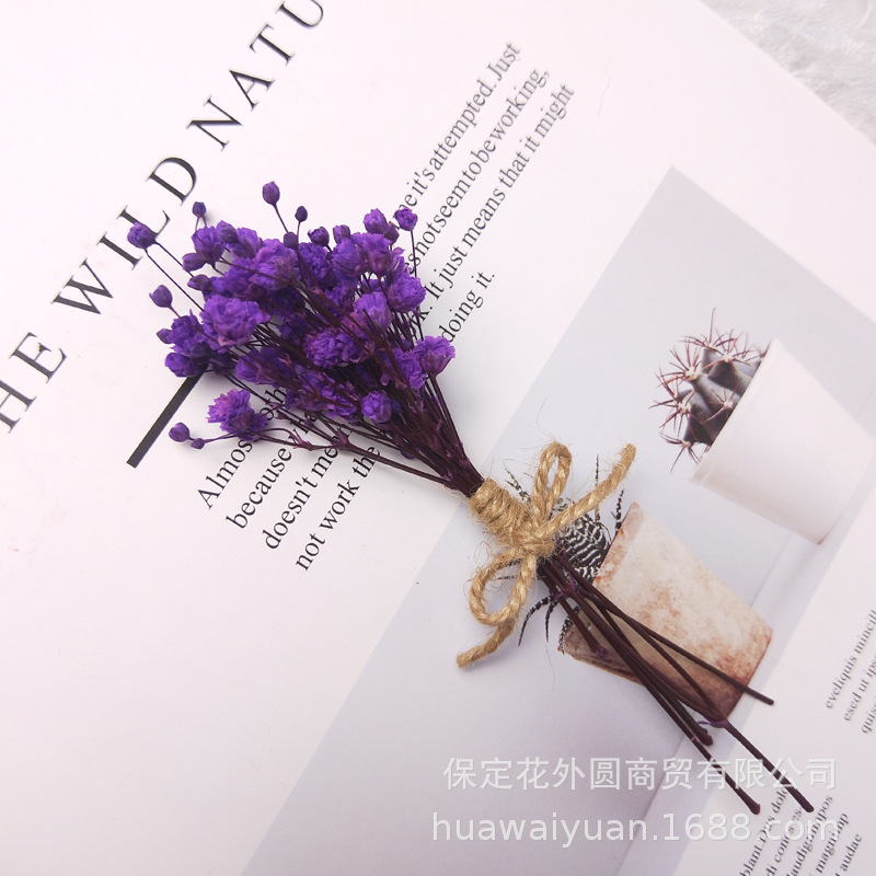 Mini ramo de flores secas, caja de regalo de rosas, decoración de tarjetas, material DIY, accesorios de fotografía, regalos de flores