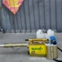 水雾农用脉冲式果树弥雾机