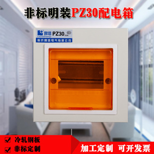 �������b�_�P�в�����·�� ��������䏊��� �ǘ����bPZ30�����