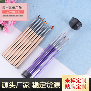 Factory Direct supply nail art pen nail art pen suit metal rod drawing pen phototherapy pen worker can Pen and other nail art brushes