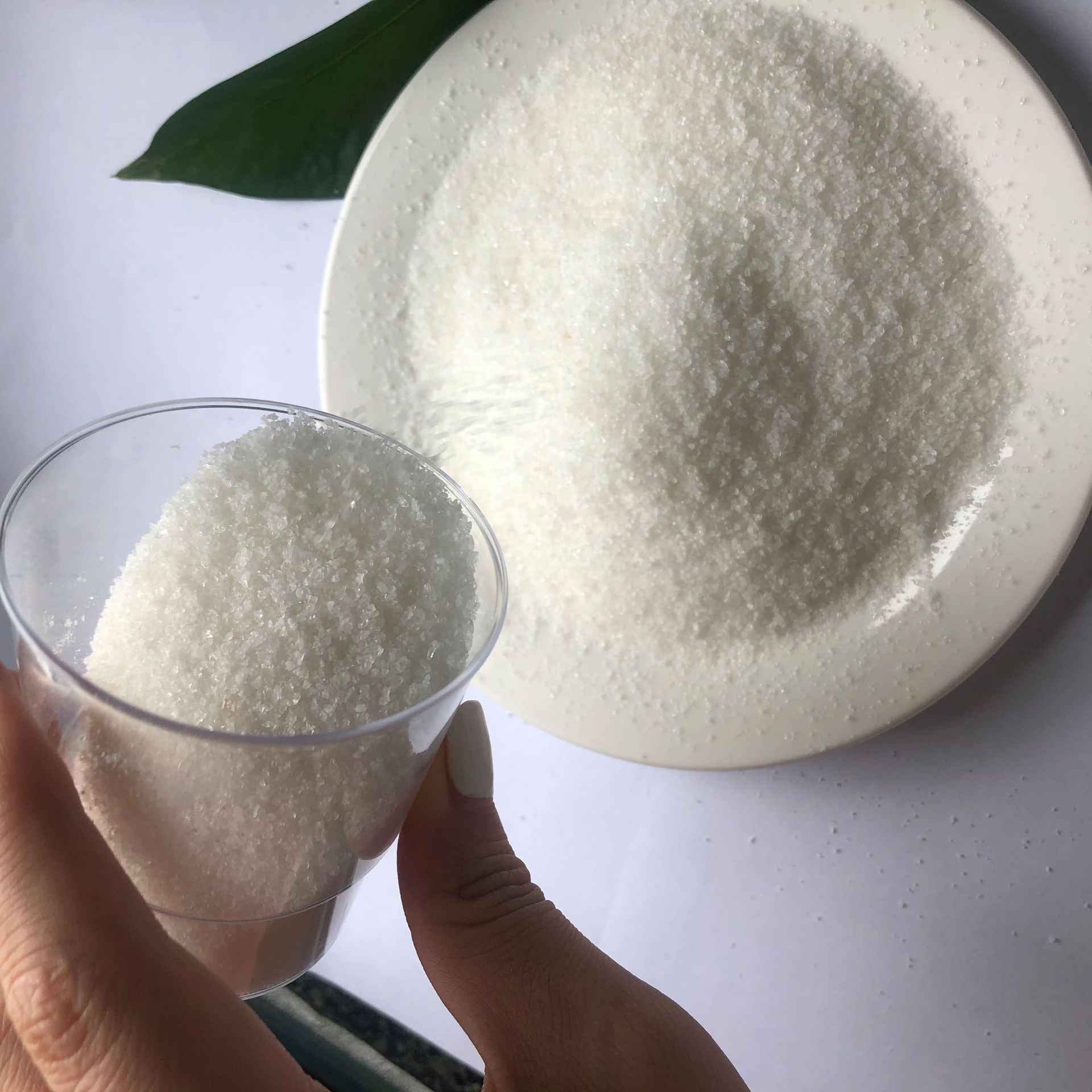 ɿþ۱ϩȵѭˮ۱ϩǳ۱ϩ