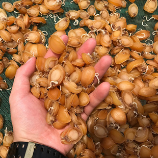 ���B��ζ�U�~�ɵ���С���U�~�Ƶ�ˮ�aƷС�S�����l����С���r