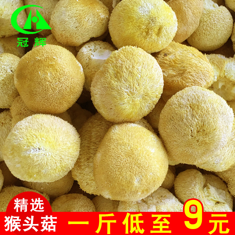 古田猴头菇干货500g 干猴头菇古田特产批发产地食用菌菇