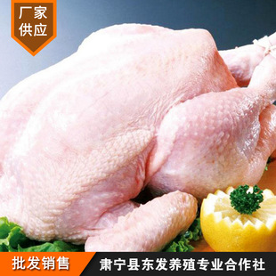 �|�l�Bֳ�S���l����r���u���u���r��̭�u���u