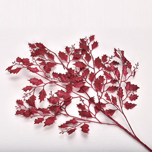 ��}5�晵���~���~�� ��c�Y�þƵ�·�����滨�b����ϻ��٘��~