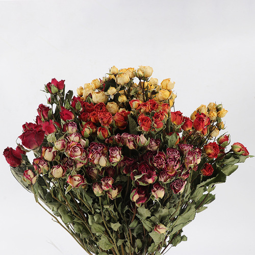 Rose dried flower bouquet multi-head bubble rose rose dried bouquet glue diy photography decorative flower materials wholesale