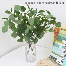 �S�����l����Gֲ�O���~�@�־G���Ҿ��b��ܰ����A�~�ȼ���