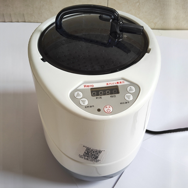 4,0 escala máquina de vapor caja de baño sauna máquina de vapor olla de vapor medicina vapor instrumento 2000W sudor máquina de vapor
