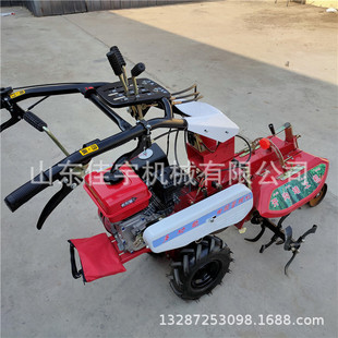 �����_�ϲ���10�R����@����C �߲˷Nֲ�����C