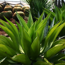 �ʹ������m ���G����ֲ����������m���� ���P�����m����ˮ���m