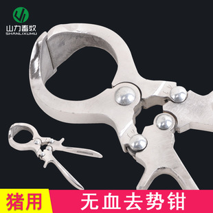 �i��ȥ���Q �F�ßoѪȥ���Q ��ţ��ȥ���Q ��i�� �i�A���Q��