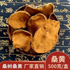 东北特产长白山 桑树桑黄 500克/份 免费切片  西藏桑黄天然