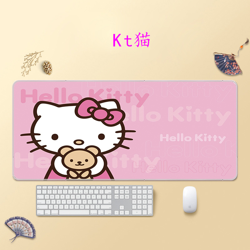 kt 고양이