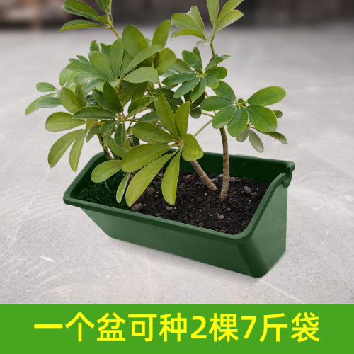 3319 Outdoor three-dimensional greening planting box plant wall flower pot container wall hanging flower pot wholesale vertical greening flower tray